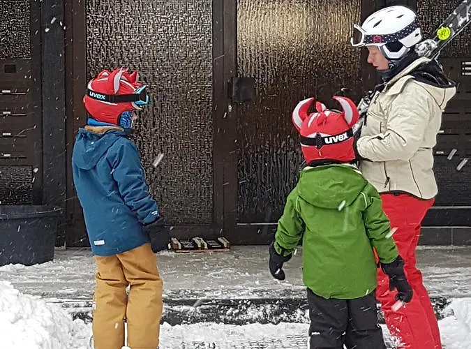 Amadeo 公寓 温特贝格